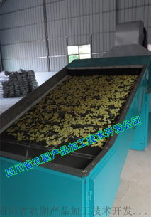 淺談脫水生姜片生產(chǎn)線與烘干機(jī)的技術(shù)開發(fā)現(xiàn)狀